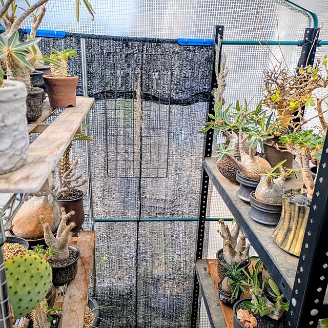ot-gardenさんの部屋