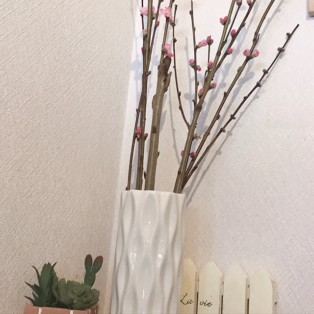 HANAさんの実例写真