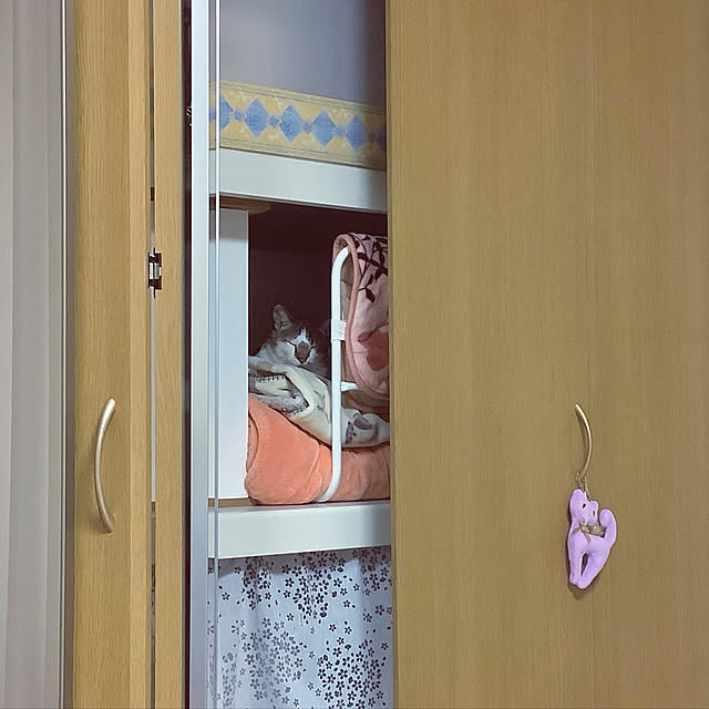 haruminさんの実例写真