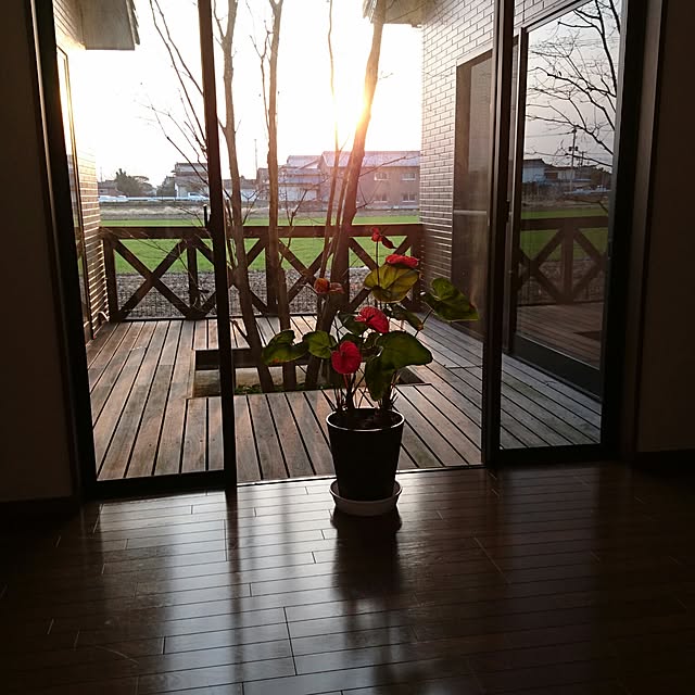 実例写真