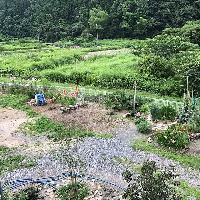 pepeさんの実例写真