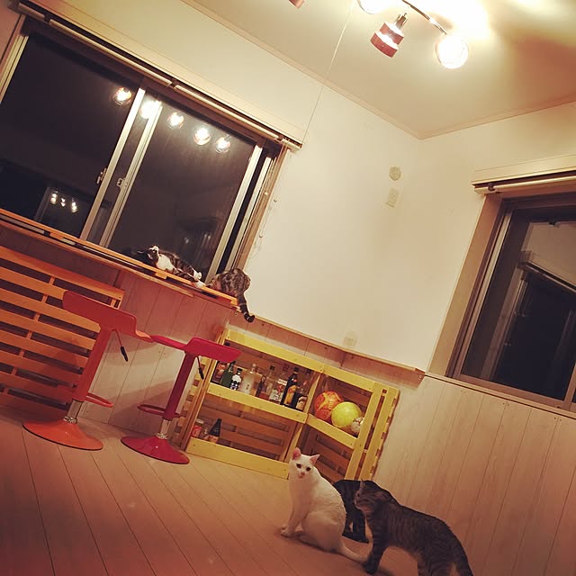 YUCHIさんの実例写真