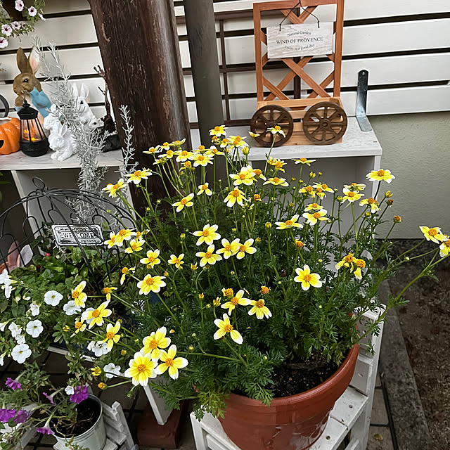 seiko44さんの部屋