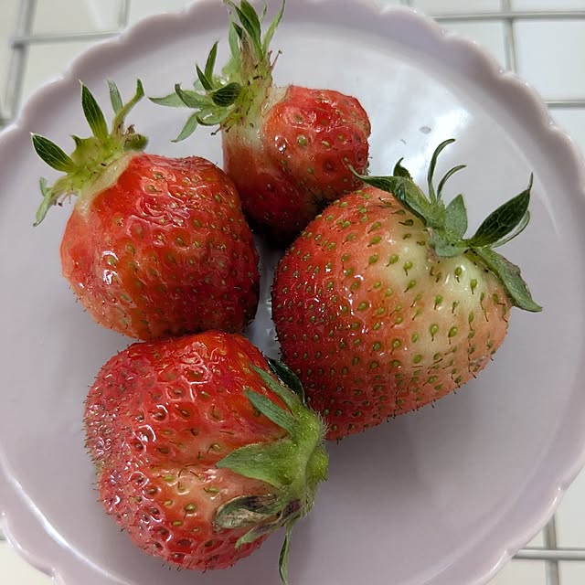 machikomamaさんの部屋