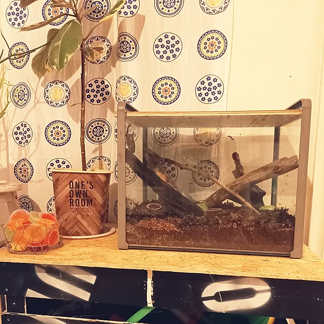 Akikoさんの実例写真