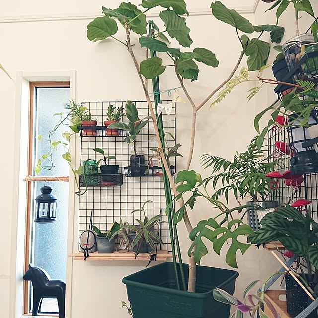 urchinさんの部屋