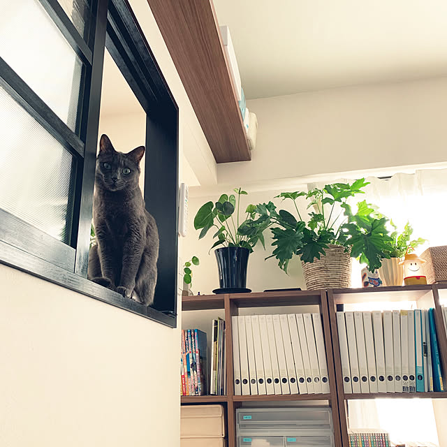 73さんの実例写真