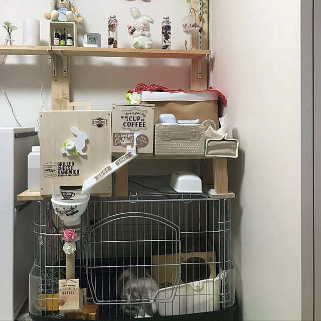 megumiyさんの実例写真
