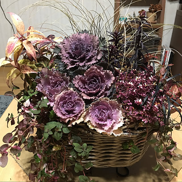MAMAさんの実例写真