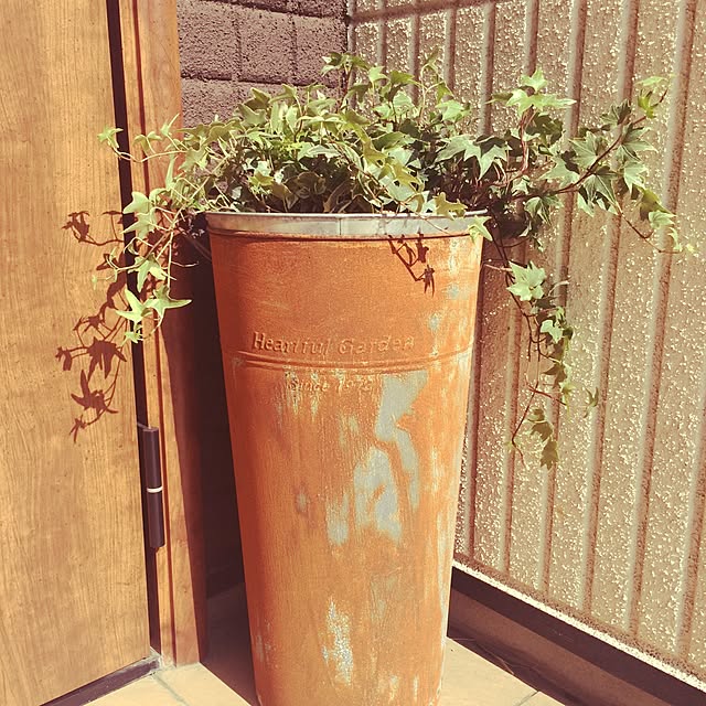 Mayuさんの実例写真