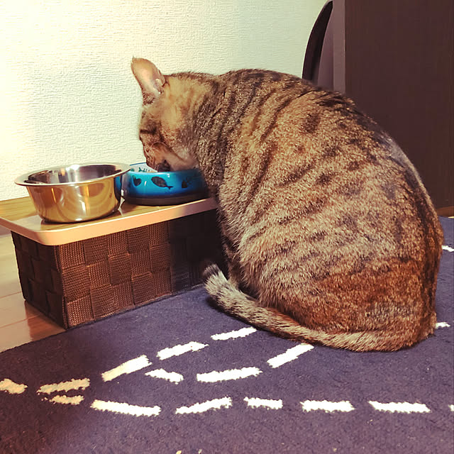 NGK_411さんの実例写真