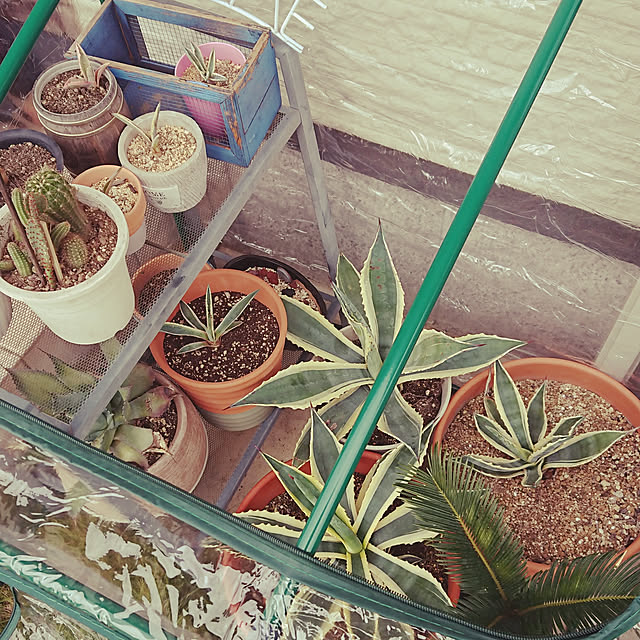 ot-gardenさんの実例写真