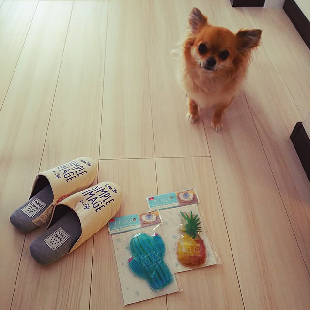 kojikojiさんの実例写真