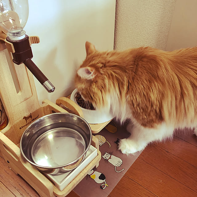 uchidaizuさんの実例写真