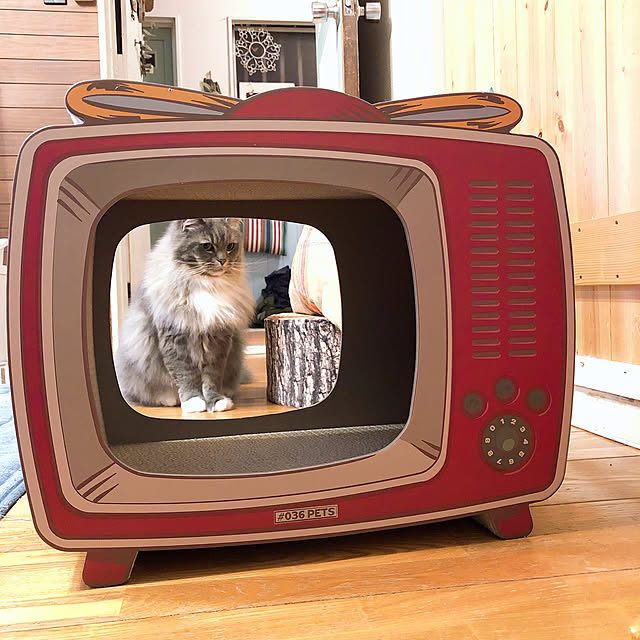 mii-tanさんの実例写真