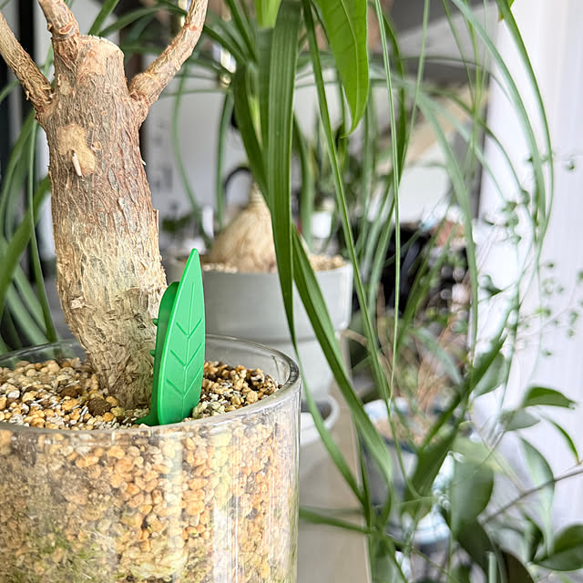 della_homeさんの部屋
