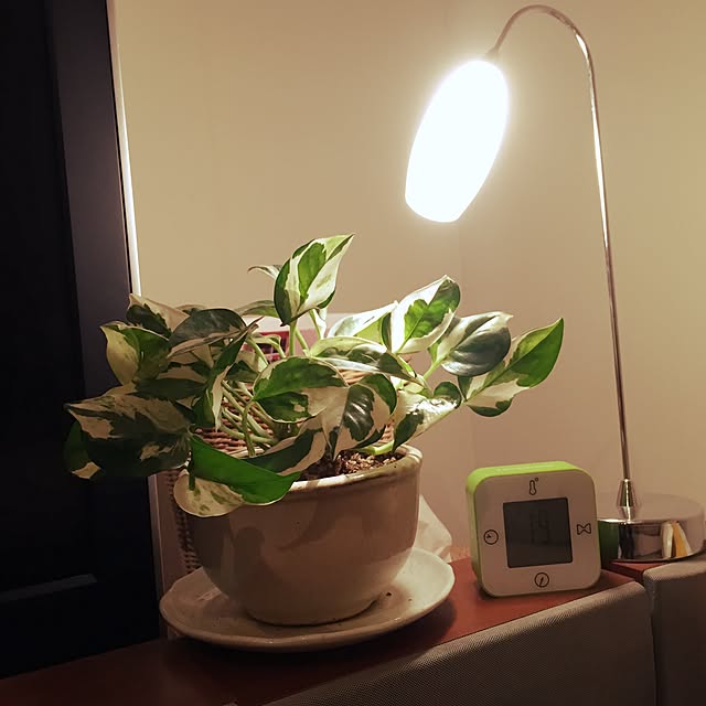 Rose0930さんの実例写真