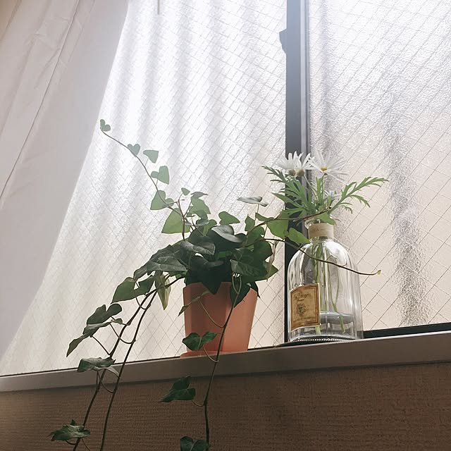 Yukoさんの実例写真