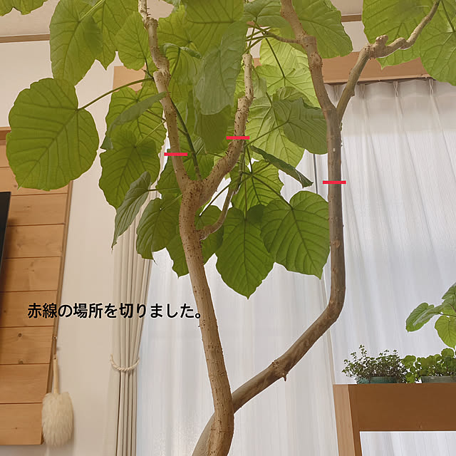yukaさんの部屋