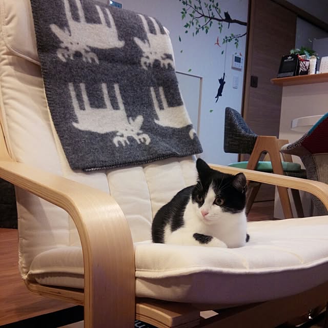 botanさんの実例写真
