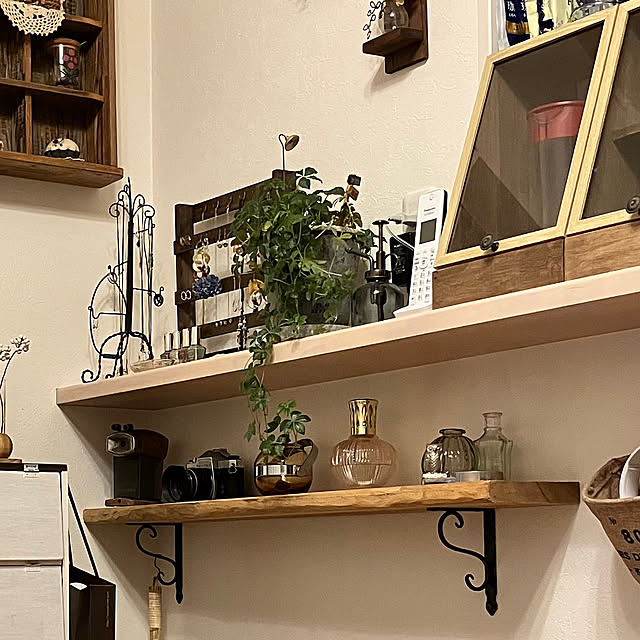 リビング/観葉植物/雑貨/DIY/ハンドメイドのインテリア実例 - 2024-02-09 21:59:15
