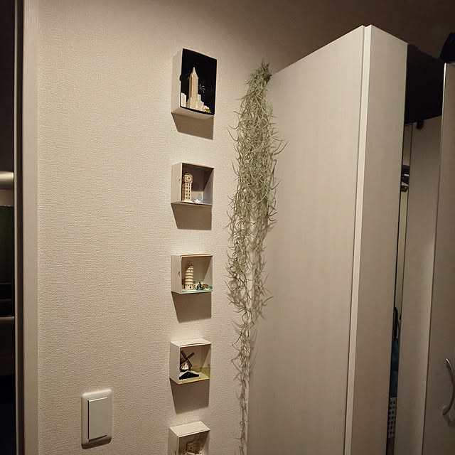taroさんの実例写真