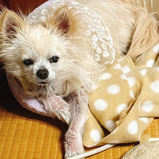 minnieさんの部屋