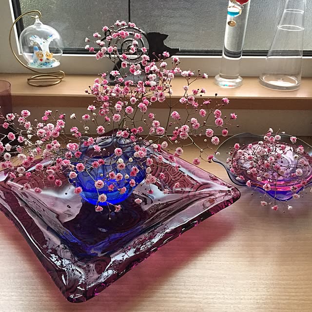 hanaotokoさんの実例写真