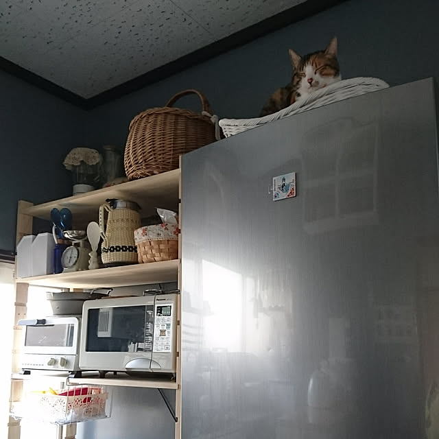 taleo07さんの実例写真