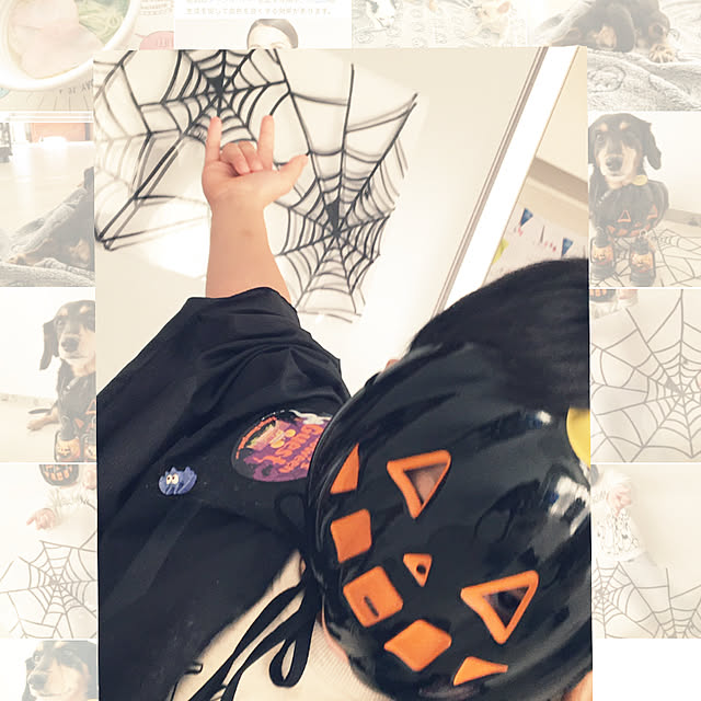 ohanaさんの実例写真