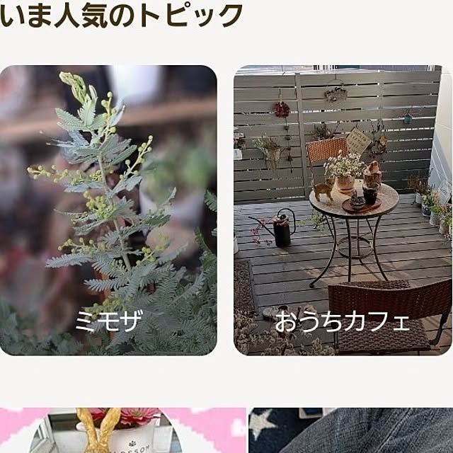 noaさんの実例写真