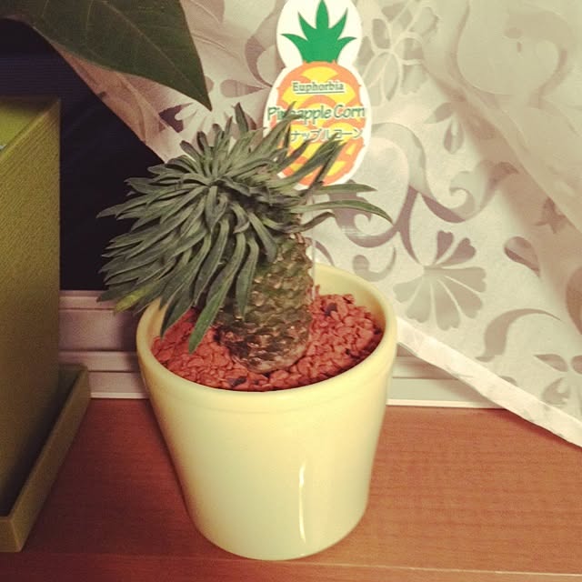 Malamaさんの実例写真