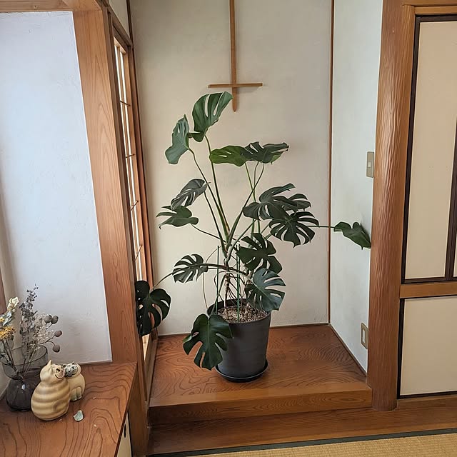 poteさんの実例写真