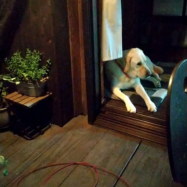 montomoさんの実例写真