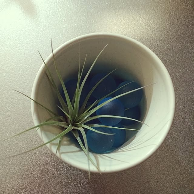 Makiさんの実例写真