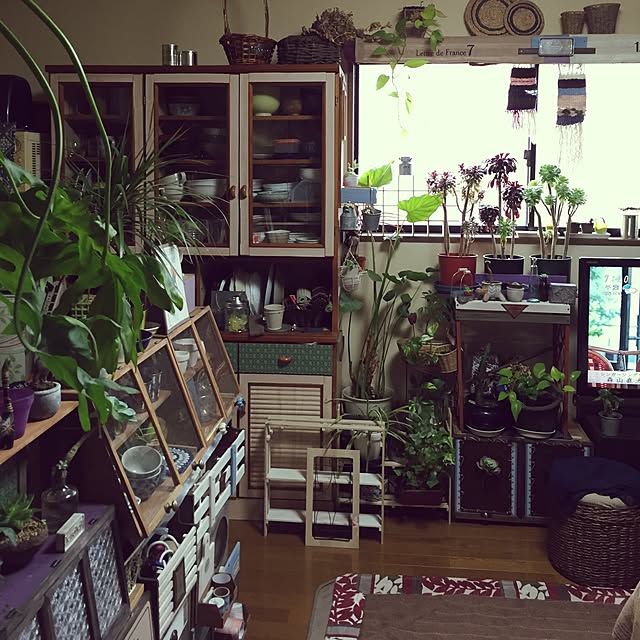 Norikoさんの実例写真