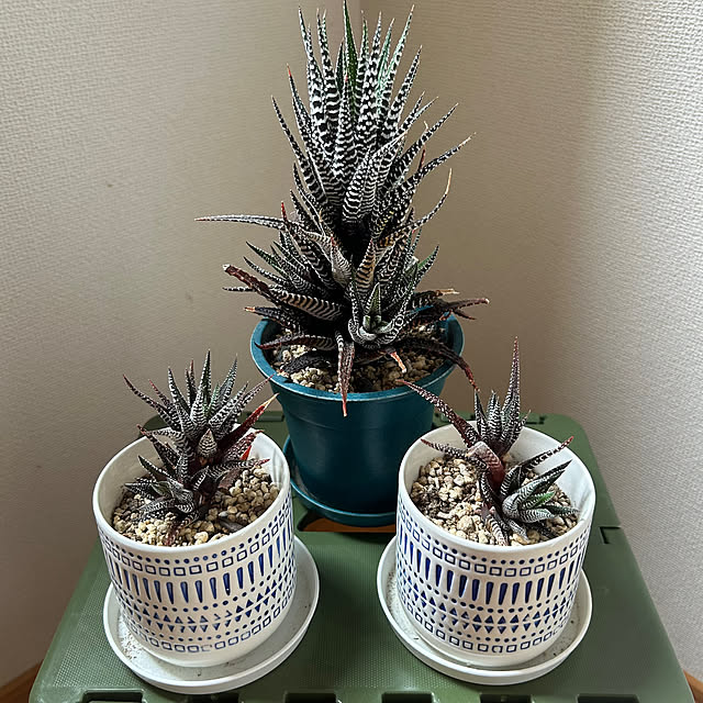 skhrさんの部屋