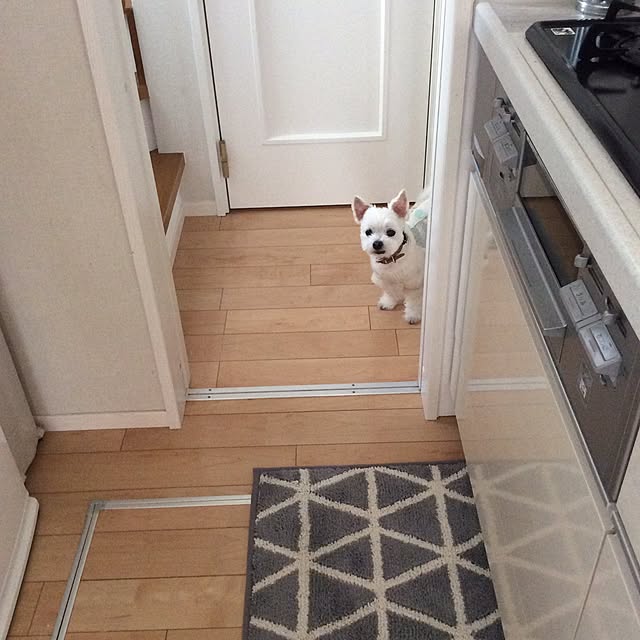 kuruさんの実例写真