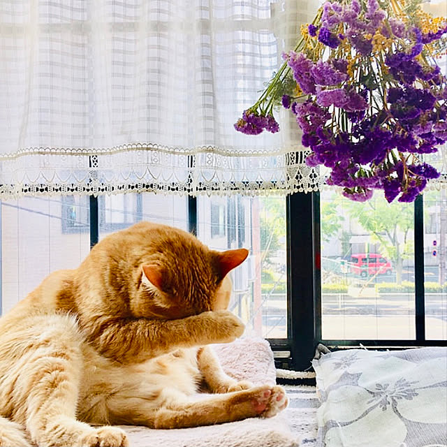 tututu0204さんの実例写真