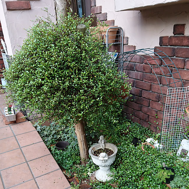 pocoさんの実例写真