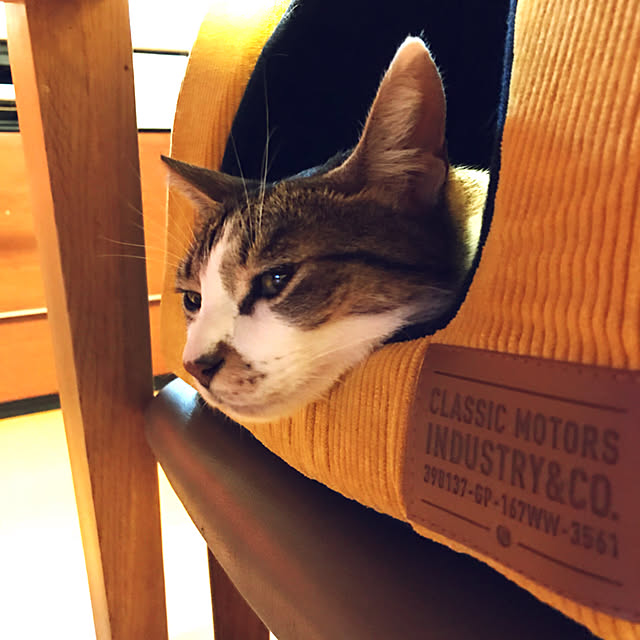 nsugi0710さんの実例写真