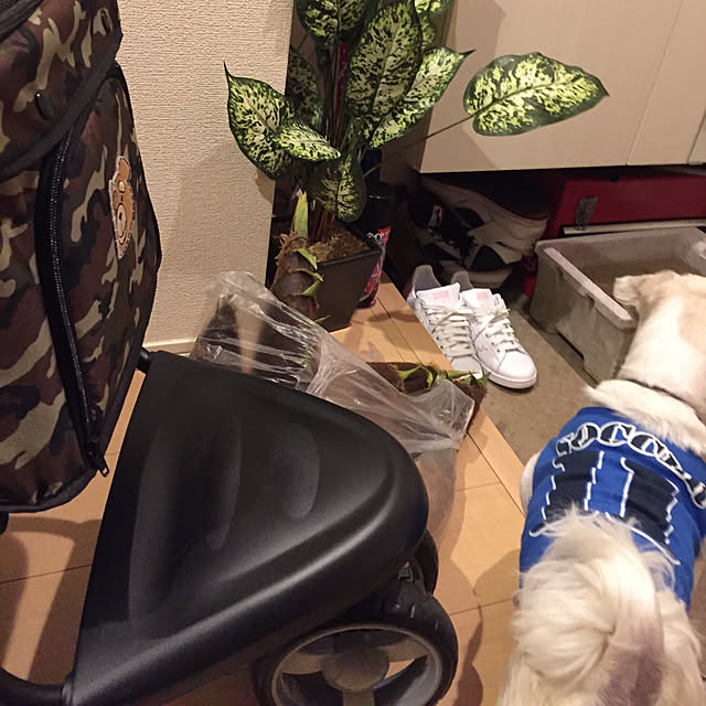 emiさんの実例写真