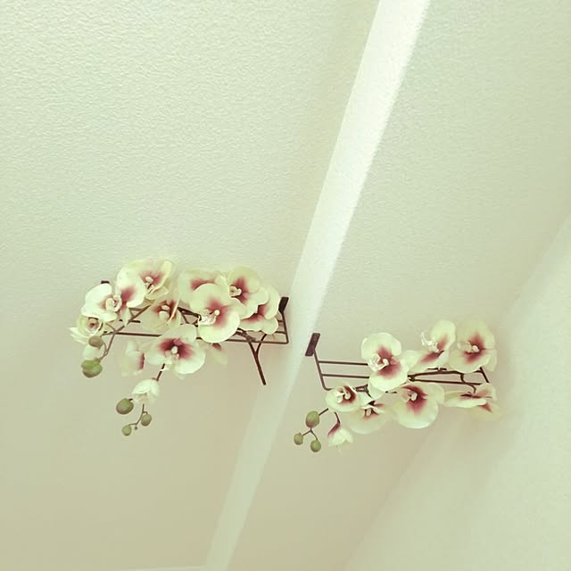 0c.c0さんの実例写真