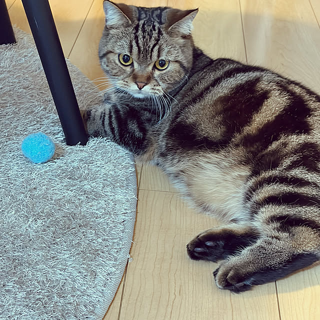 chiiさんの実例写真