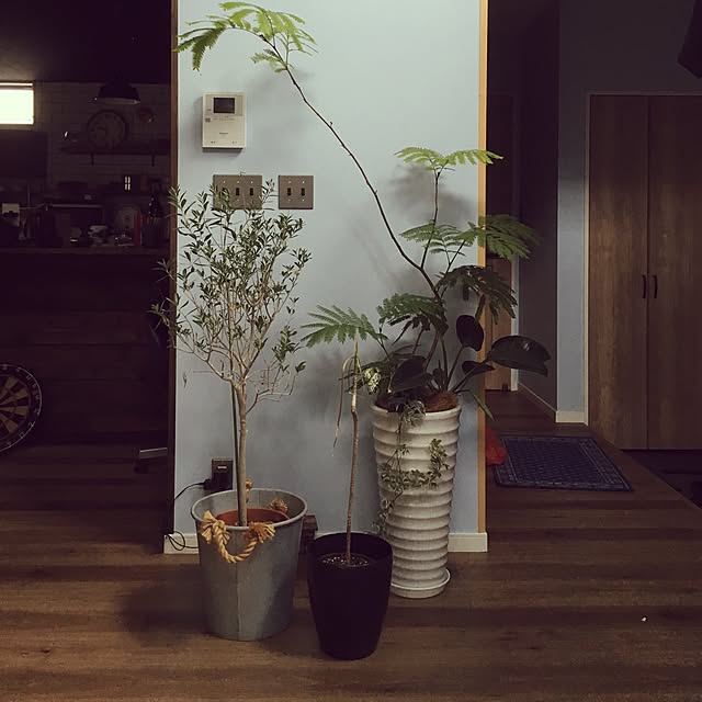 naotyさんの実例写真