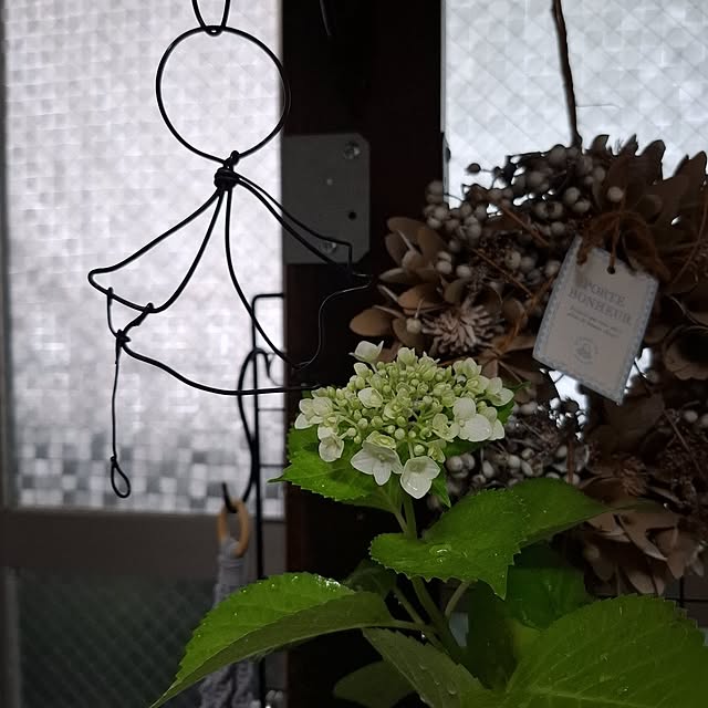 noaさんの実例写真