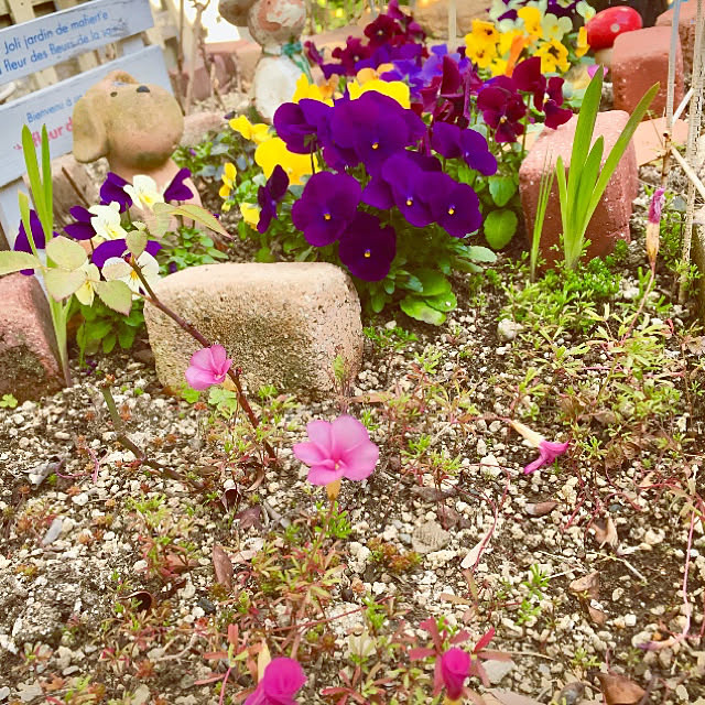 takakoさんの実例写真