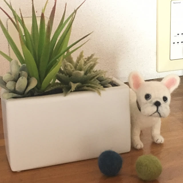 MAKOさんの実例写真