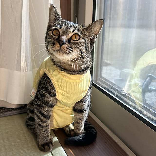 yunyumさんの部屋