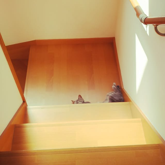 go-yaさんの実例写真